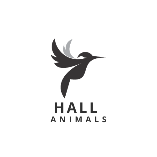 Hall Animals
